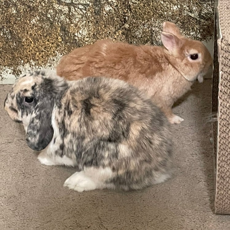 Avatar for @sarahkw on Greg, the plant care app