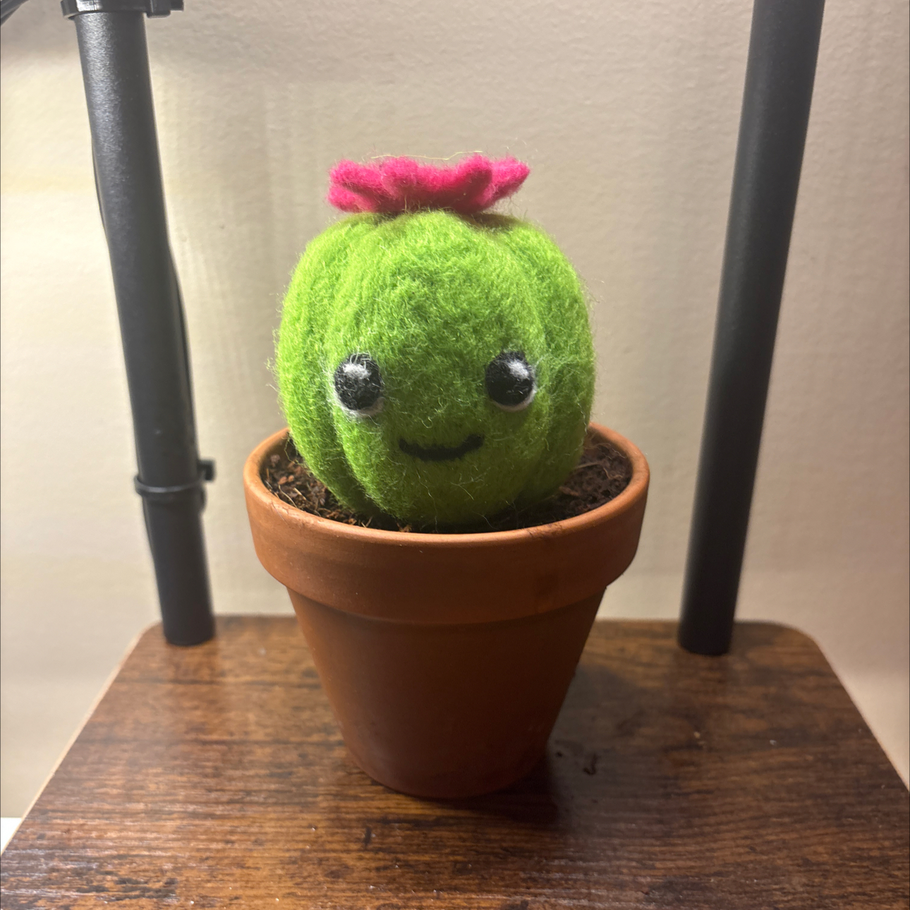 @SoothingCacto90 avatar