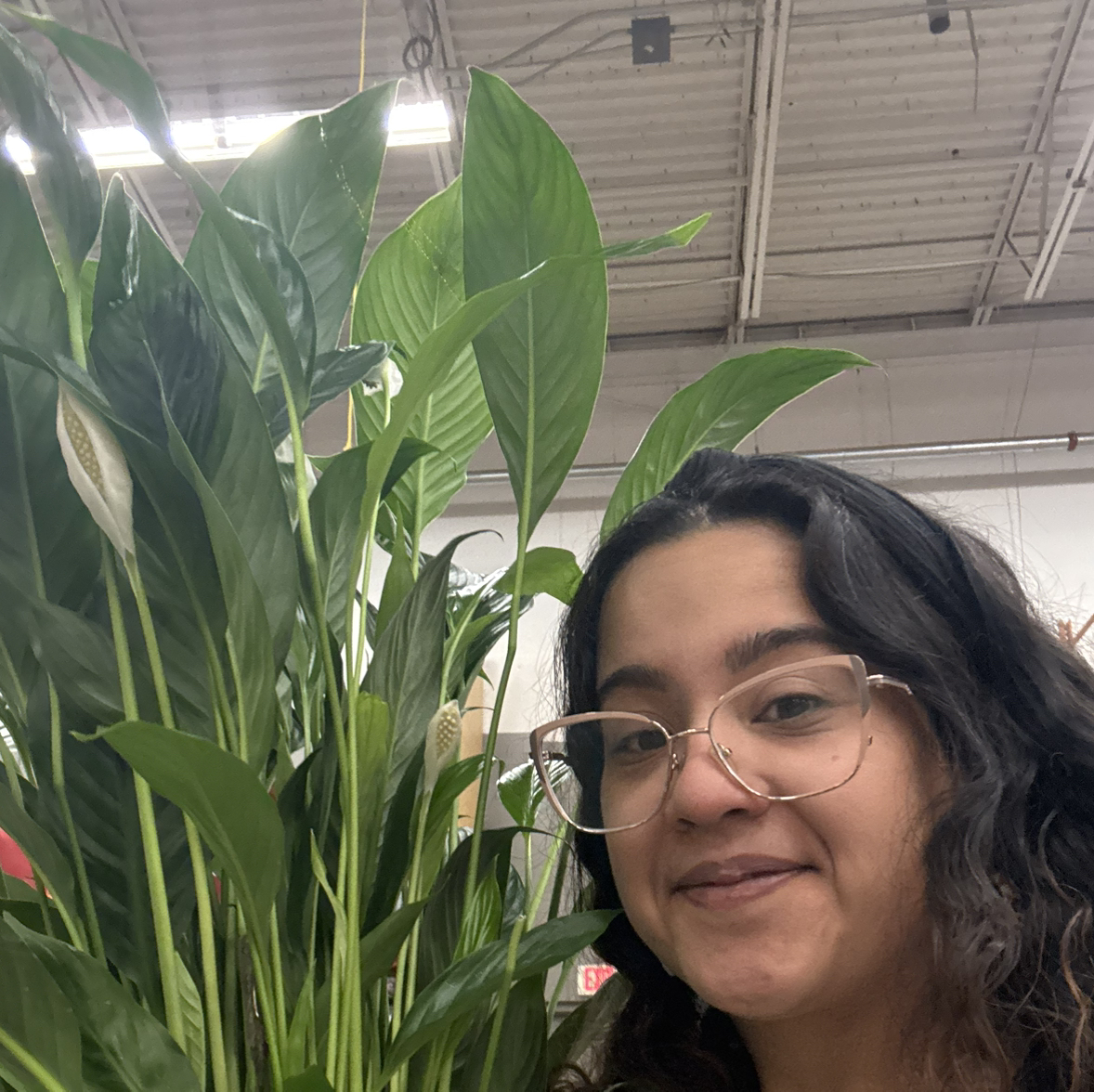 @Custodyinbloom avatar