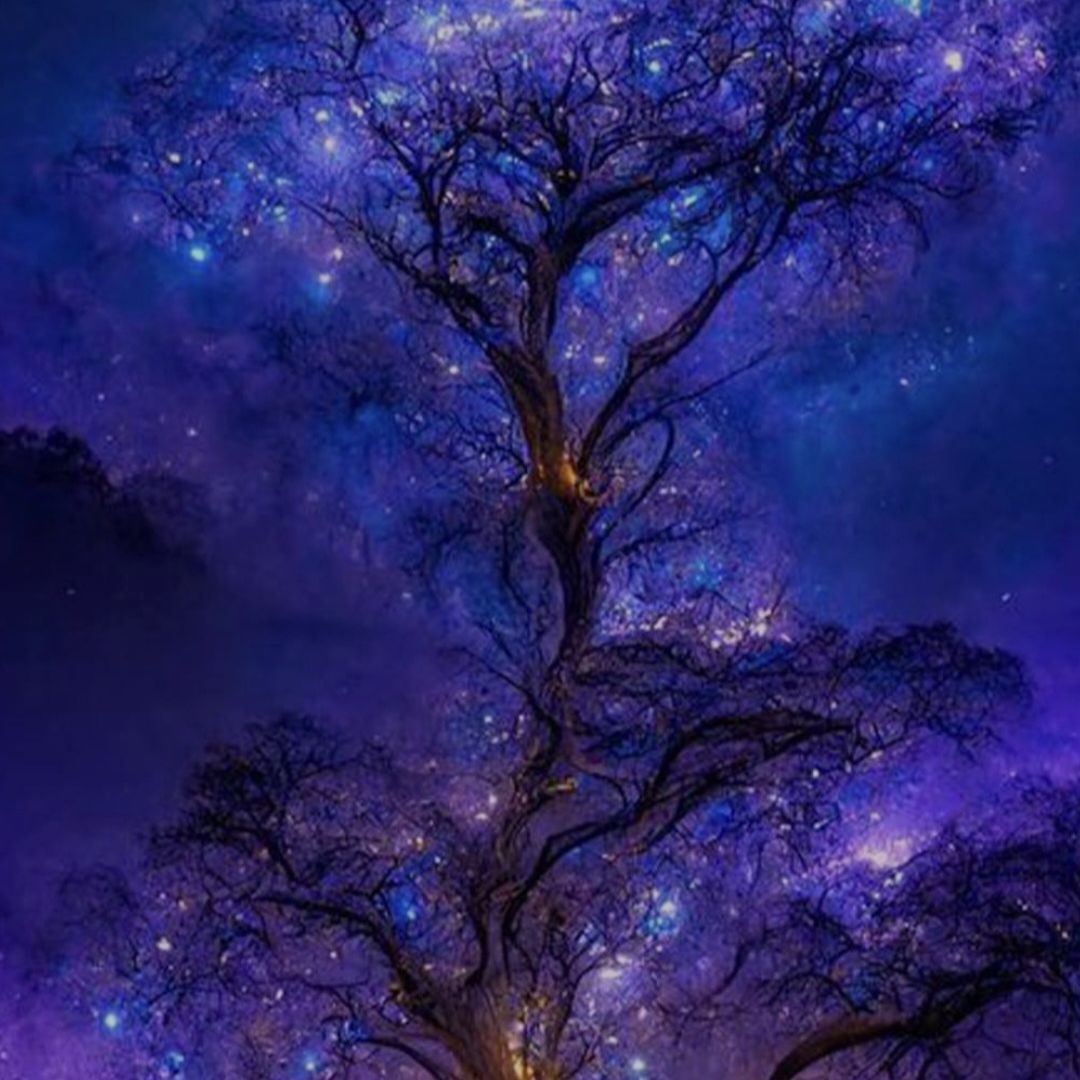 Avatar for @HotOrchid93 on Greg, the plant care app