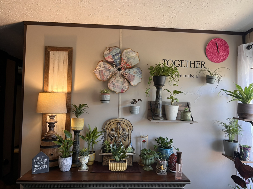 Avatar for @JennyJens26 on Greg, the plant care app