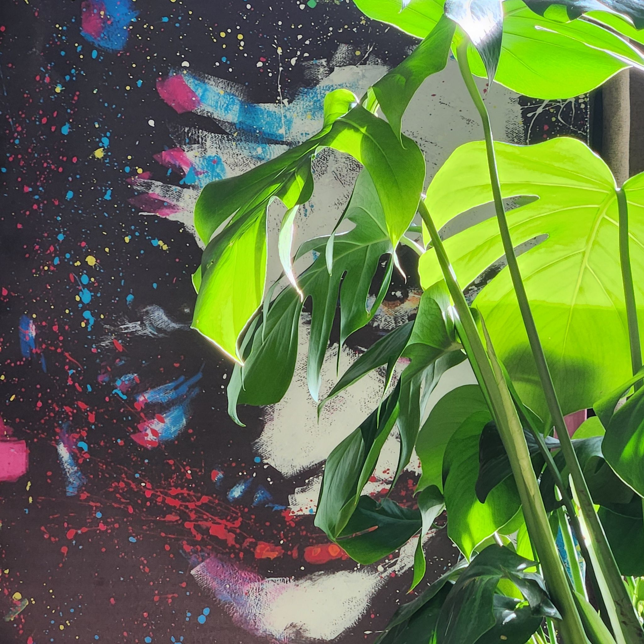 Avatar for @Irishjm27 on Greg, the plant care app