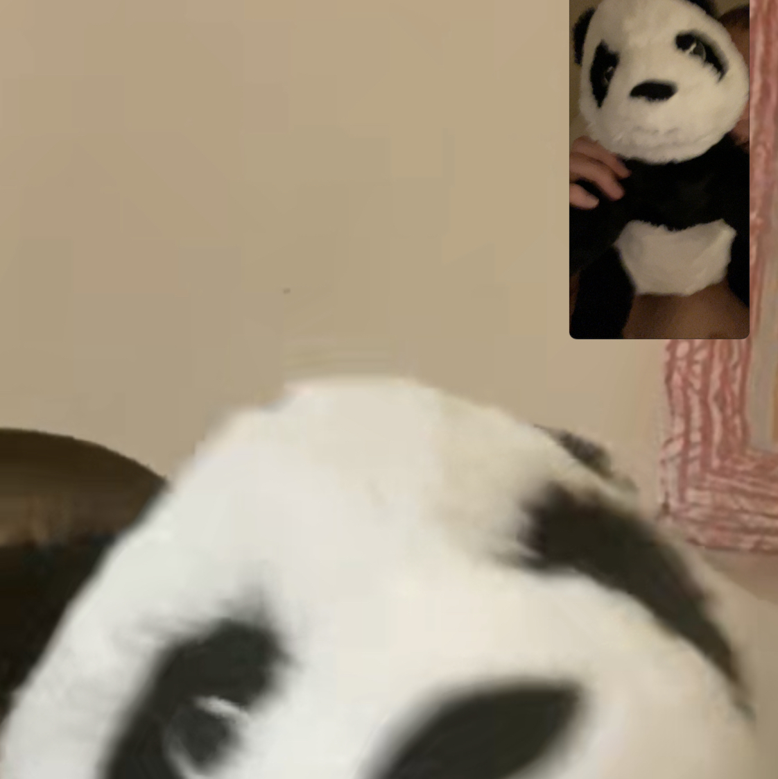 Avatar for @kyhope on Greg, the plant care app