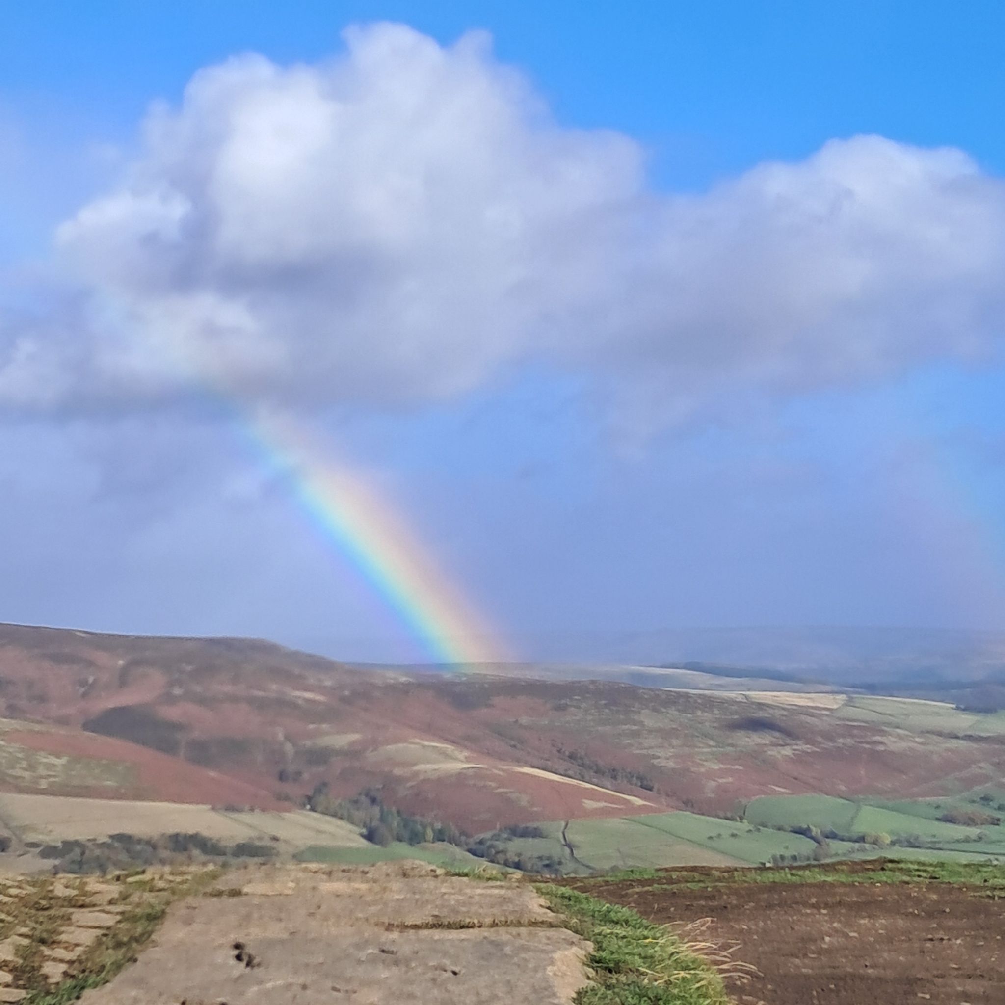 Avatar for @Abidello on Greg, the plant care app