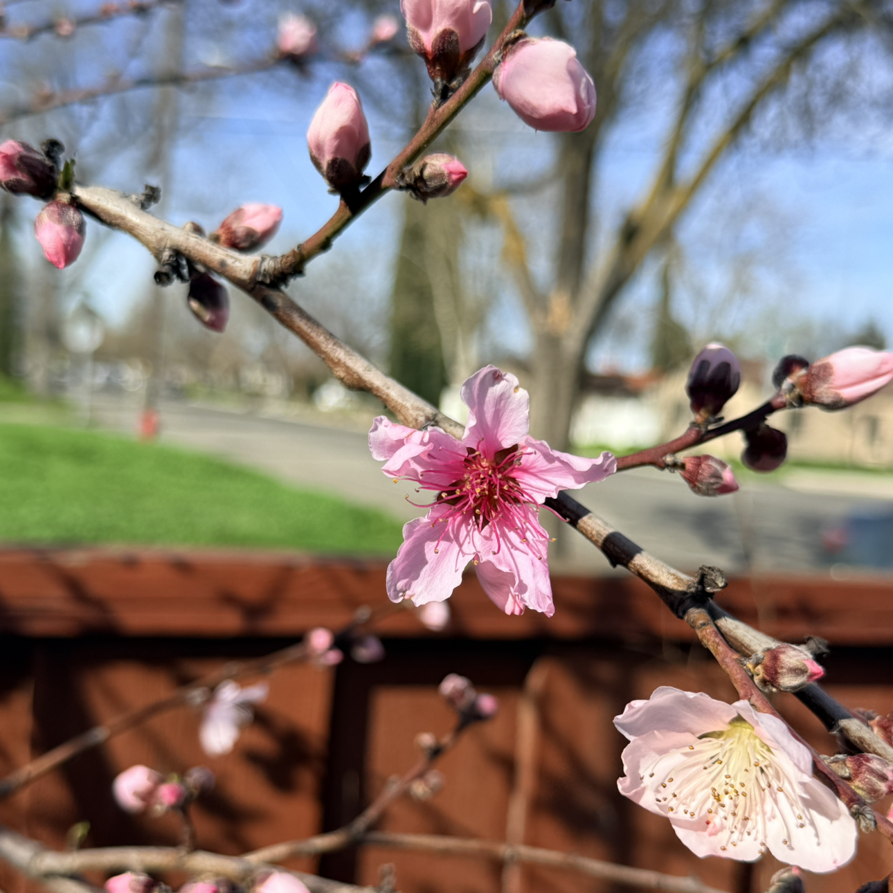 Avatar for @StartingMyGreen on Greg, the plant care app