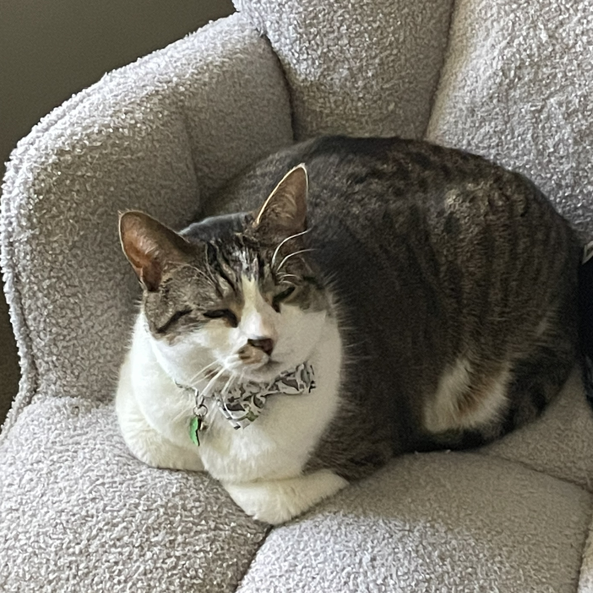 Avatar for @Bean67 on Greg, the plant care app