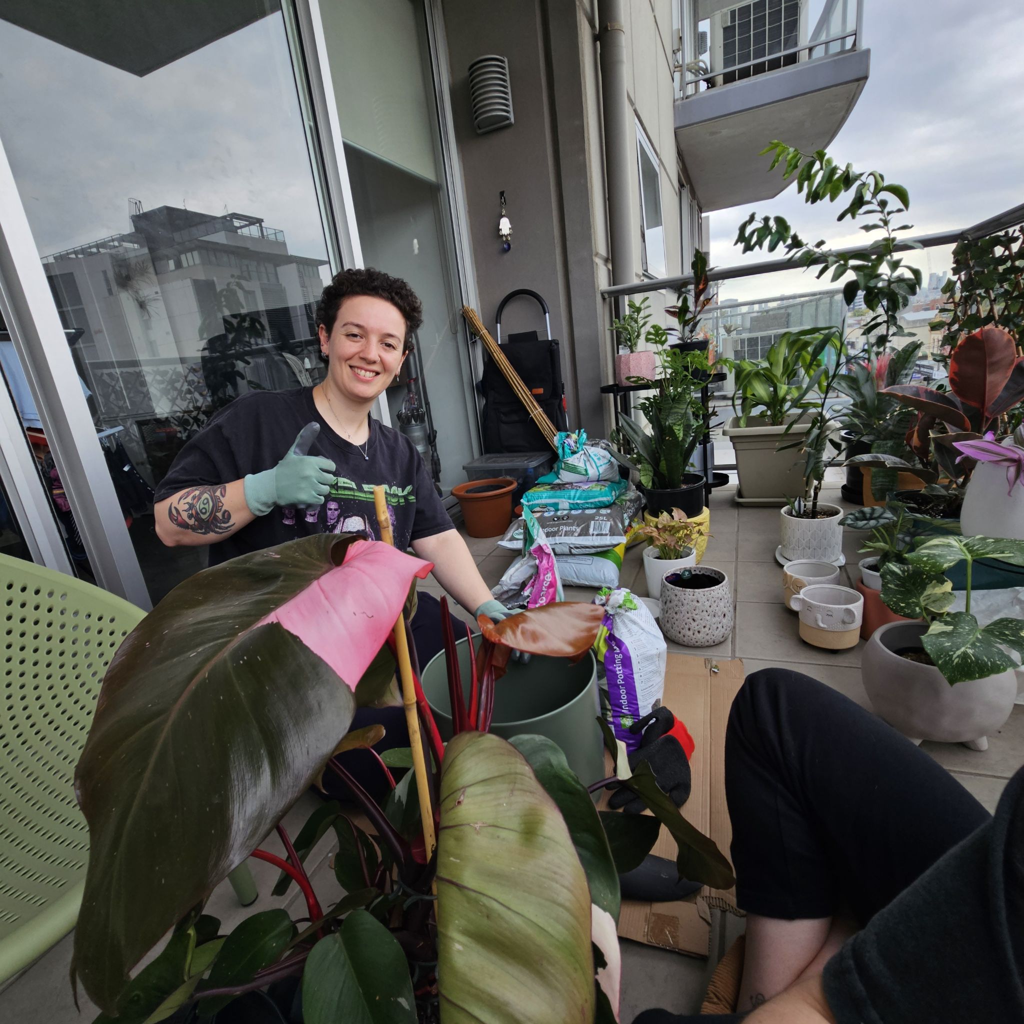 Avatar for @plantlova1994 on Greg, the plant care app