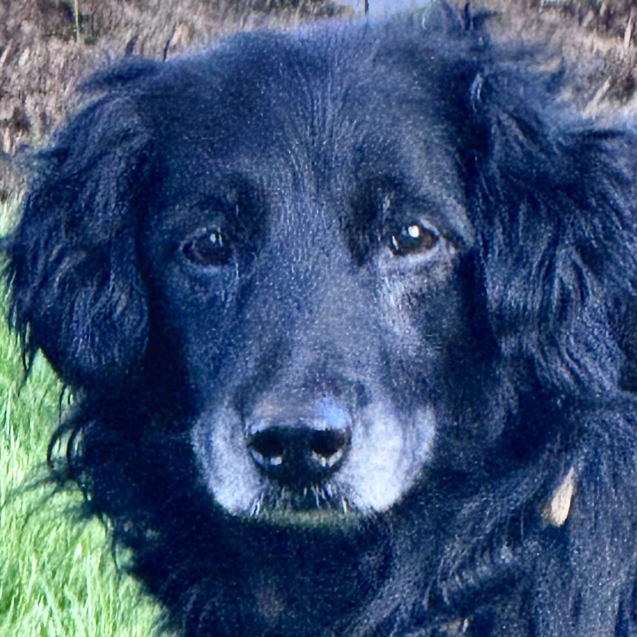 Avatar for @baobab_zig on Greg, the plant care app