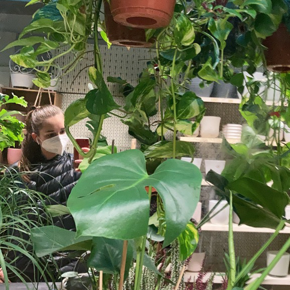 Avatar for @larabircak on Greg, the plant care app