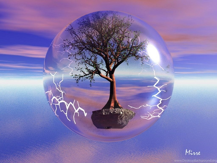 Avatar for @Lucinda on Greg, the plant care app