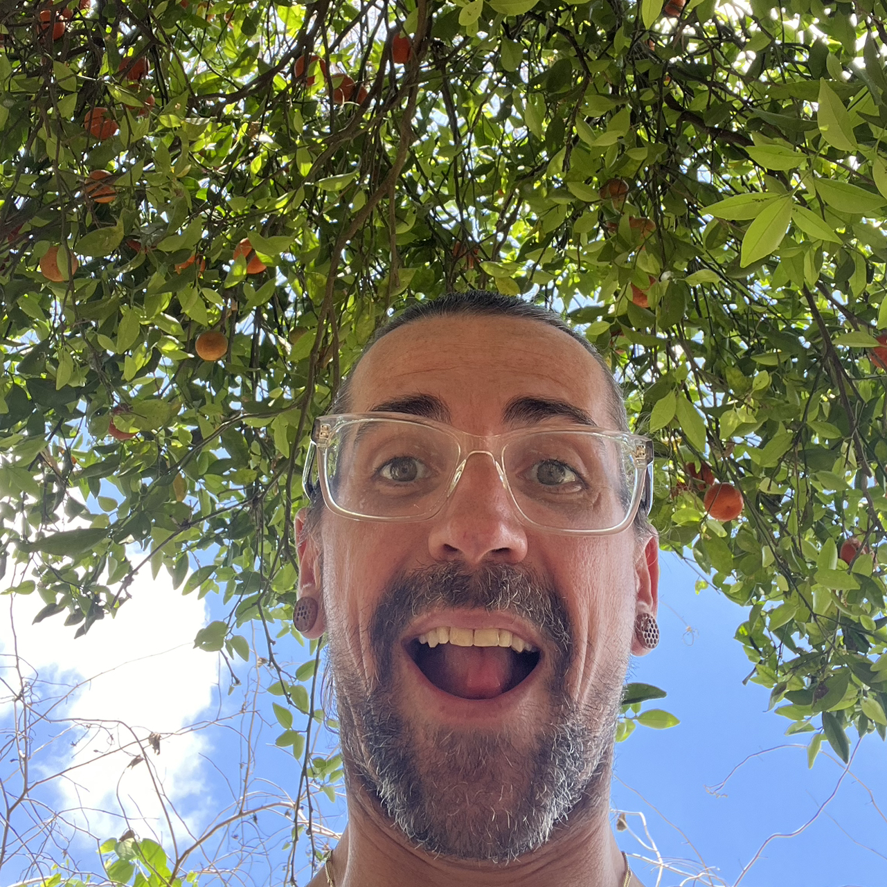 Avatar for @GreatGatsby86 on Greg, the plant care app