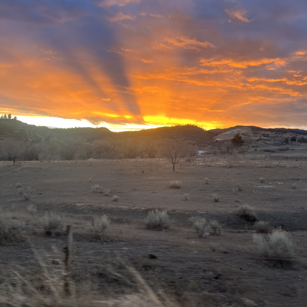 Avatar for @GuruWarnockia37 on Greg, the plant care app