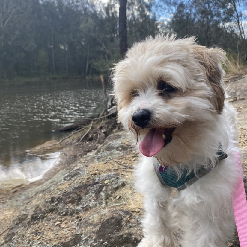 Avatar for @Kay.p on Greg, the plant care app