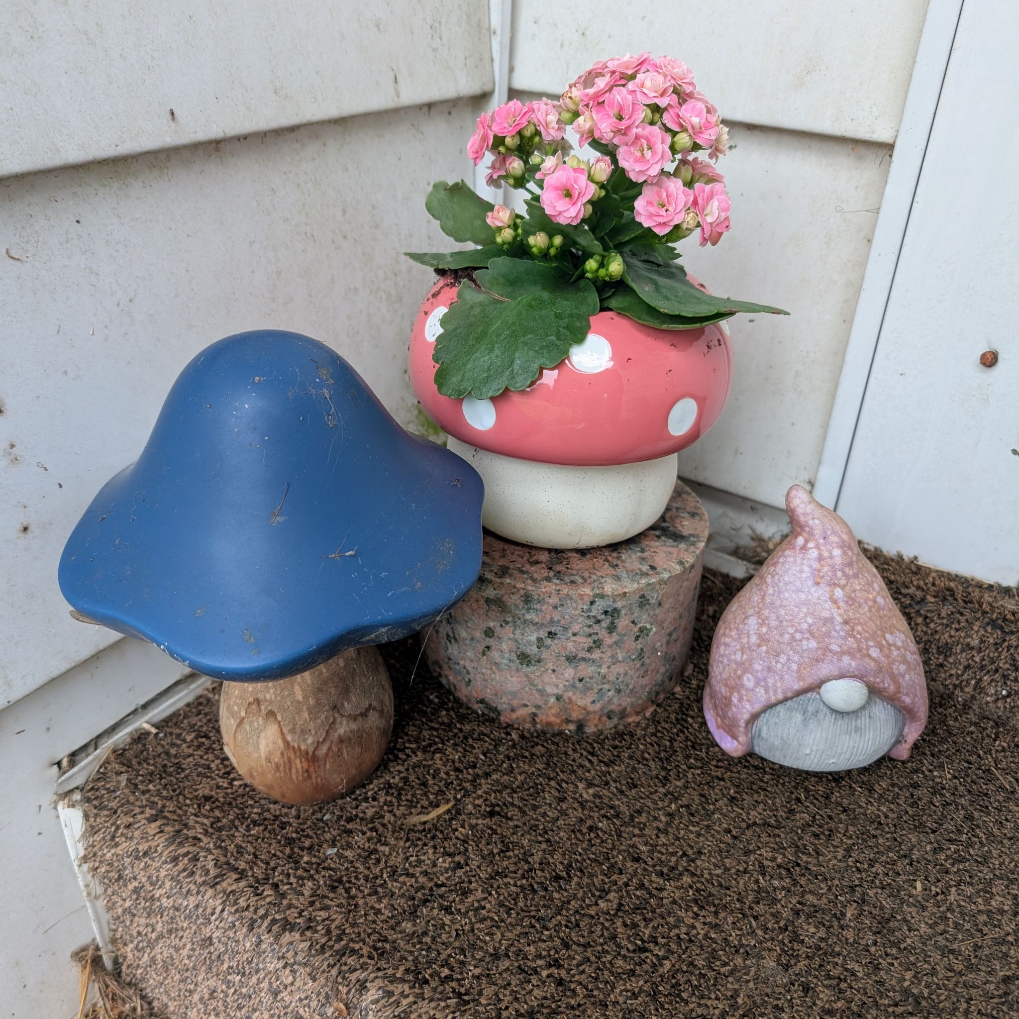 Avatar for @ReissaRein on Greg, the plant care app