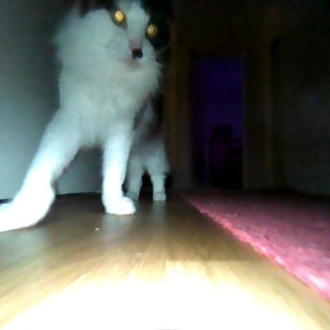 Avatar for @GroundedFord48 on Greg, the plant care app