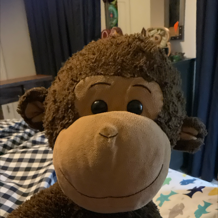 Avatar for @HeroMyagrum40 on Greg, the plant care app