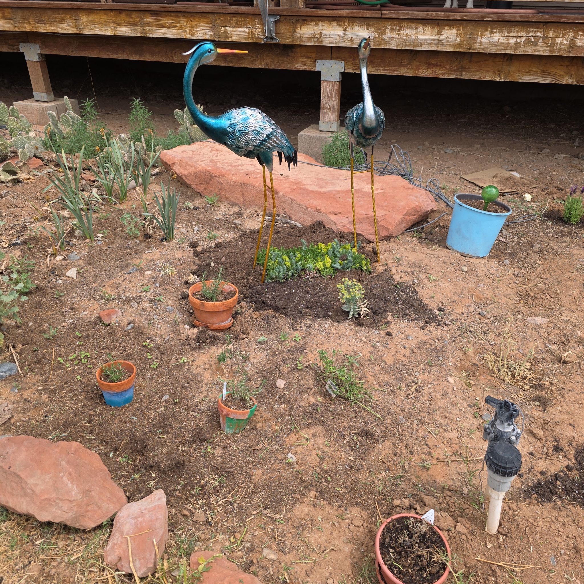 Avatar for @ReassuringMoss9 on Greg, the plant care app