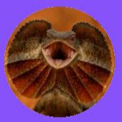 Avatar for @SirRamshorn70 on Greg, the plant care app