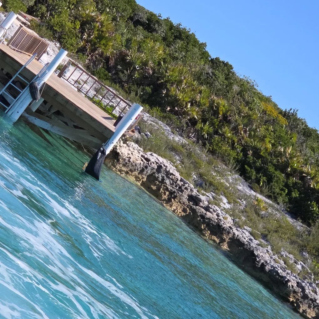 Avatar for @KhalinaJ on Greg, the plant care app