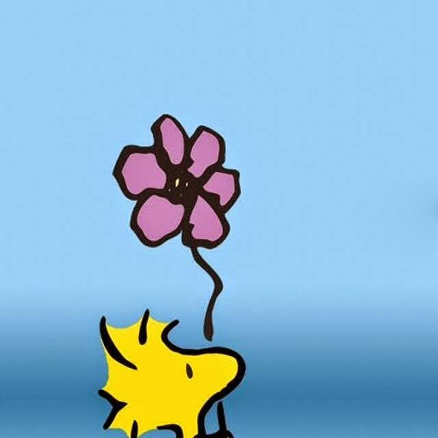 Avatar for Nissasusan on Greg, the plant care app