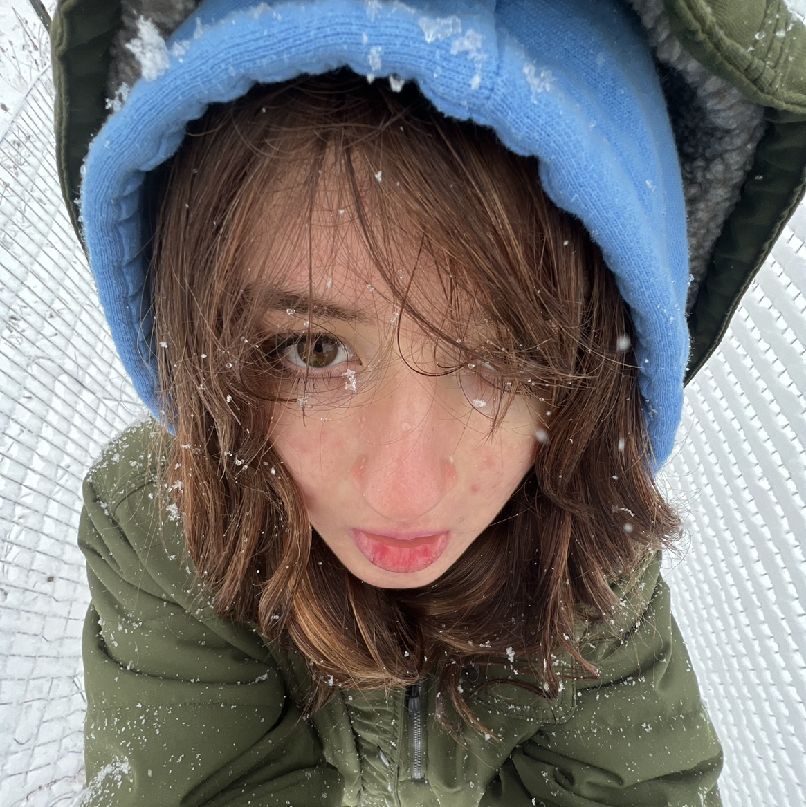 Avatar for @SpiffyHam on Greg, the plant care app