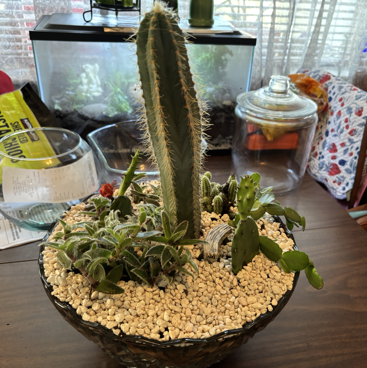 Avatar for @Annhughes52 on Greg, the plant care app