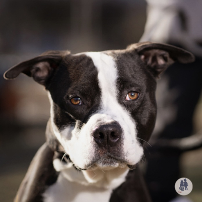 Avatar for @ArgosAcres on Greg, the plant care app