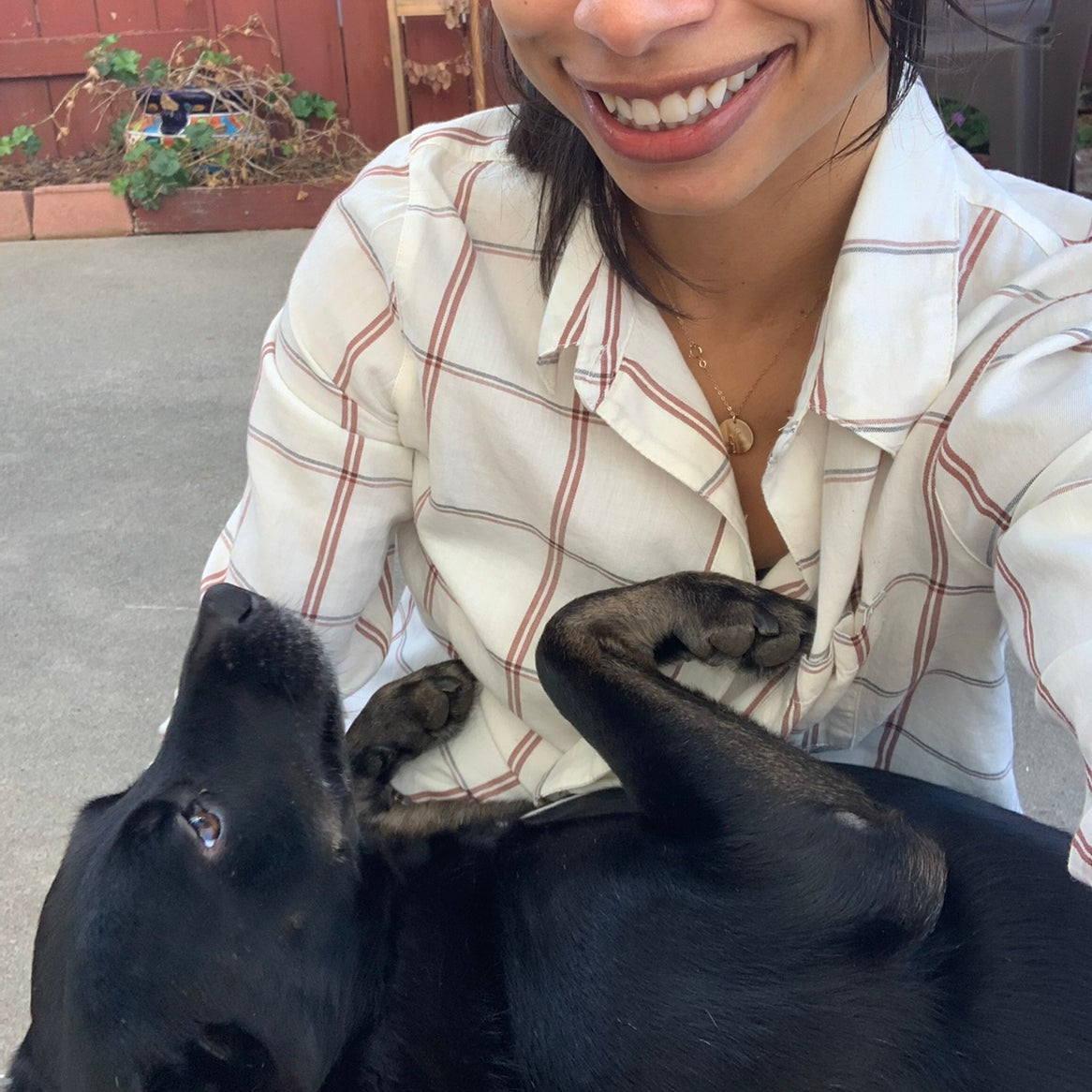 Avatar for @Jelena on Greg, the plant care app