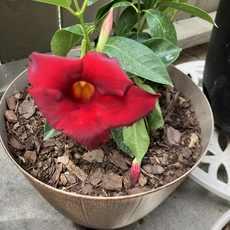 @PorchHeaven7