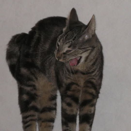 Avatar for @HappyMakole5 on Greg, the plant care app