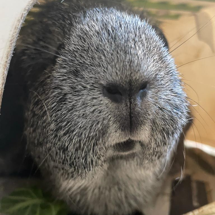 Avatar for @Jadel on Greg, the plant care app