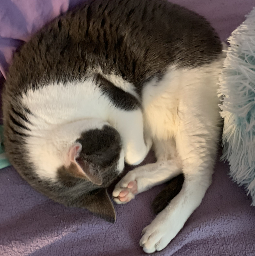 @AlliesWateringLife avatar