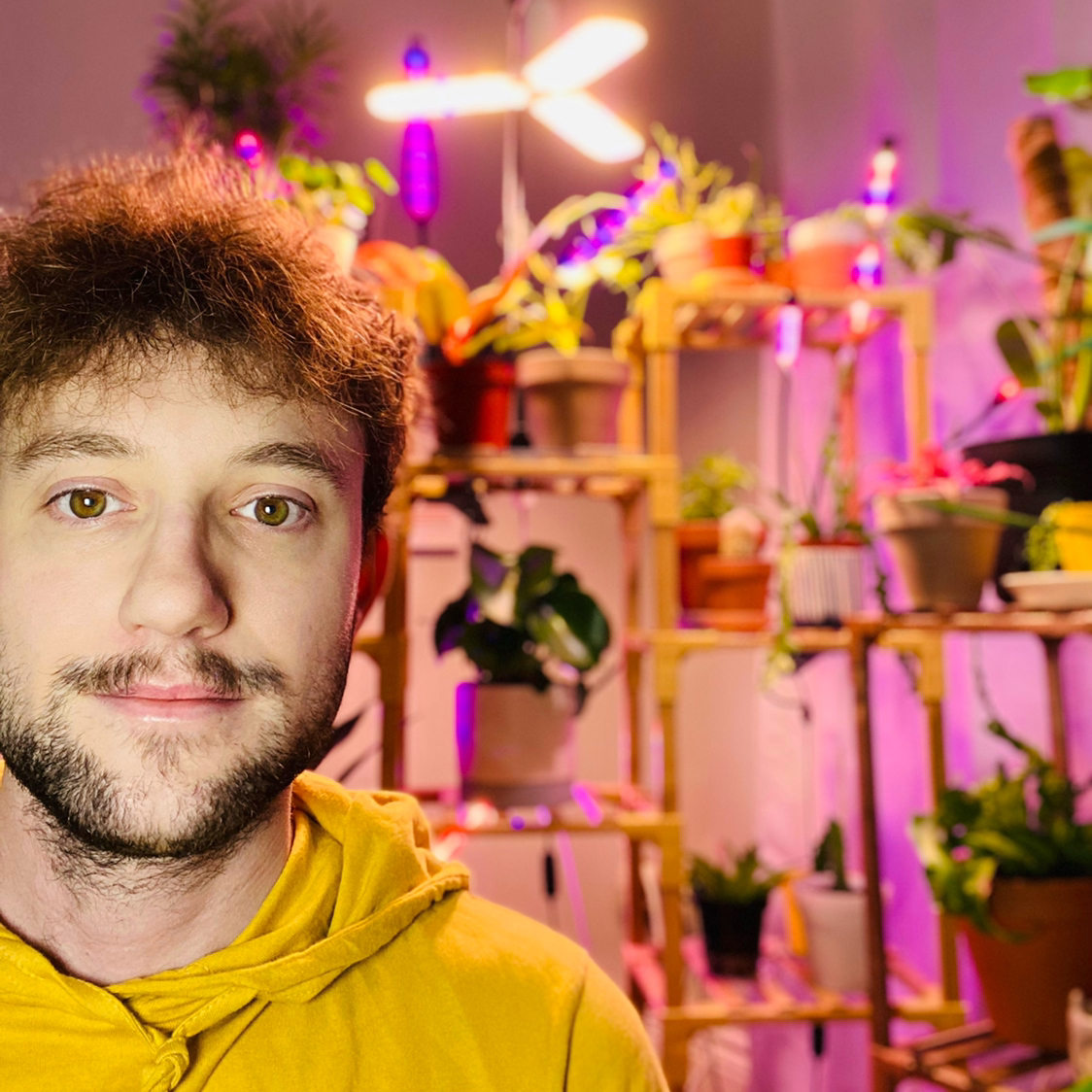 Avatar for @WoliwerCrater on Greg, the plant care app