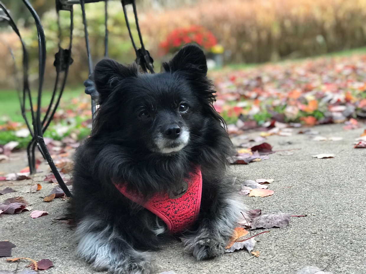 Avatar for @Shandy1017 on Greg, the plant care app