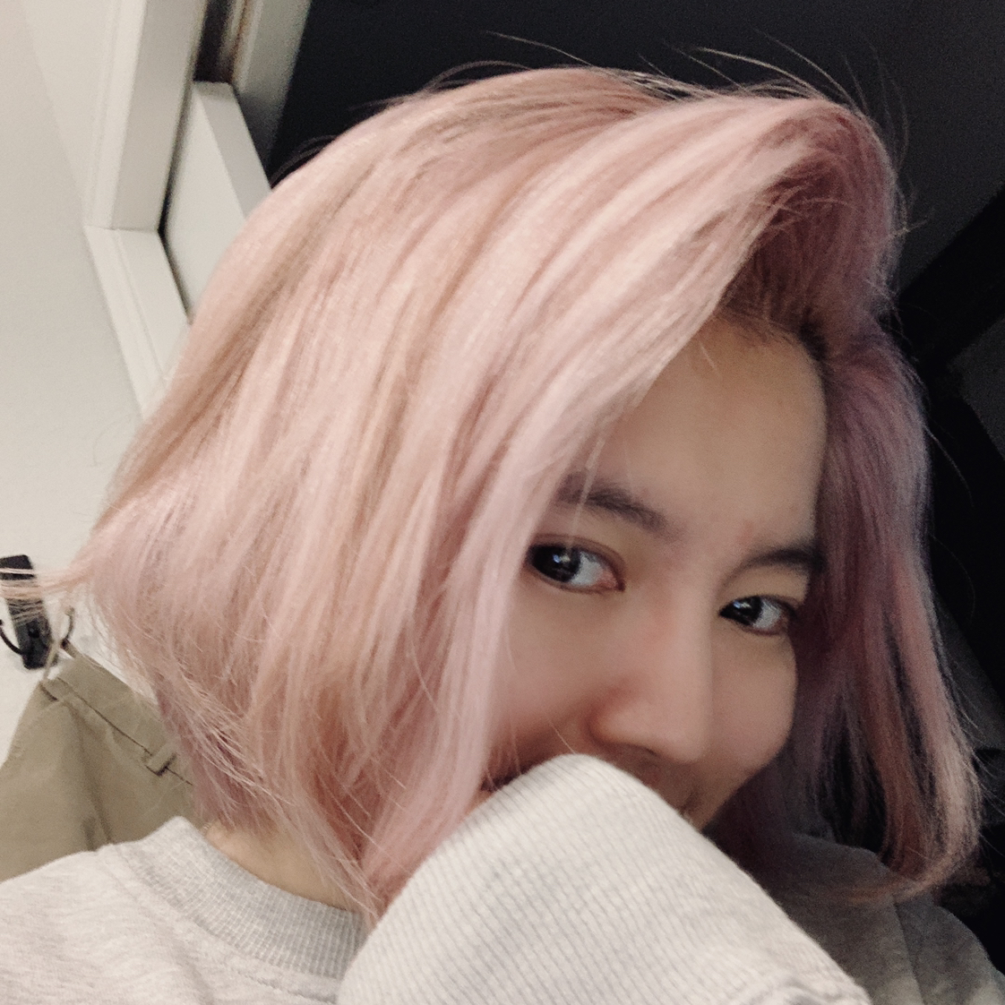 @ChikinNanban avatar