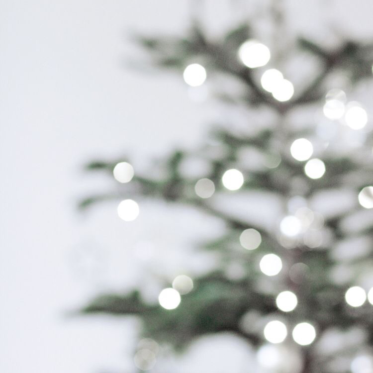 Avatar for @garlicbread on Greg, the plant care app