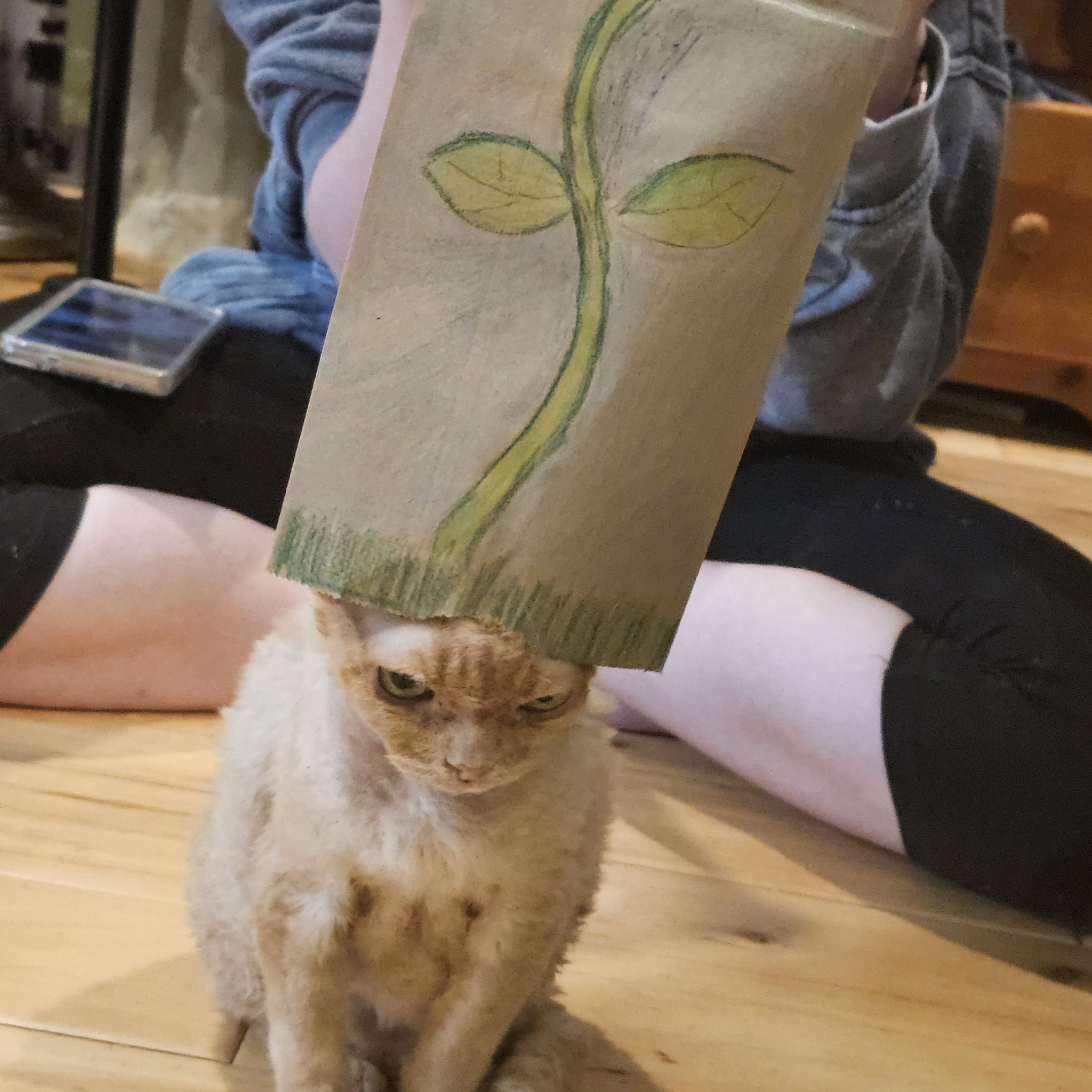 Avatar for @LilacLoves on Greg, the plant care app