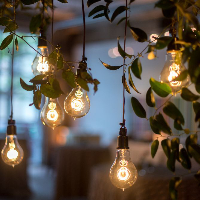 @Lylahmitchell avatar