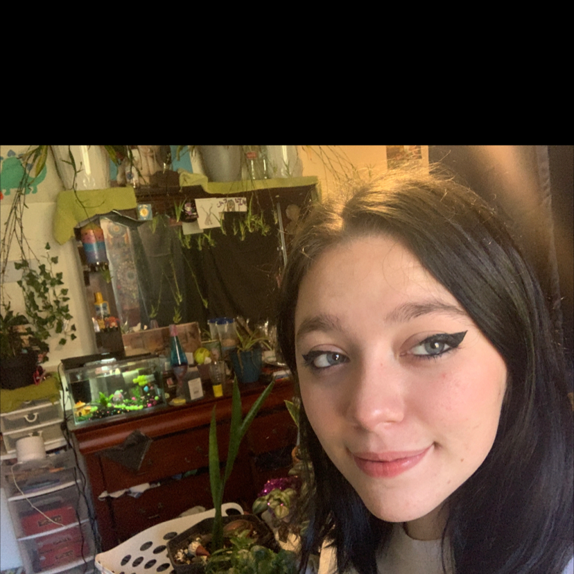 @caylincarpenter avatar