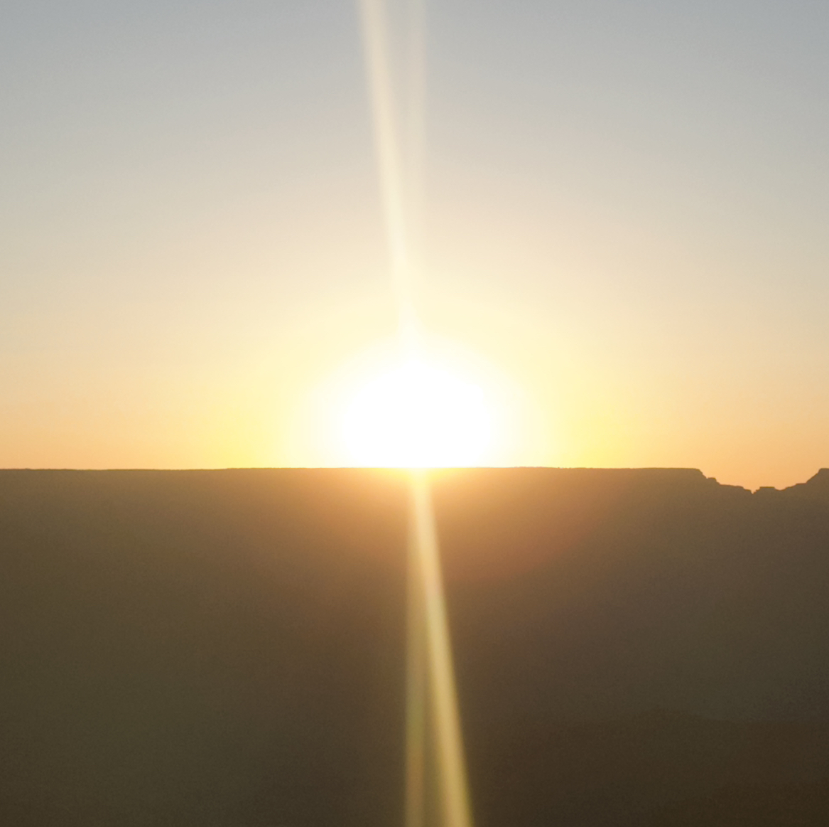 Avatar for @umm_Xavier on Greg, the plant care app