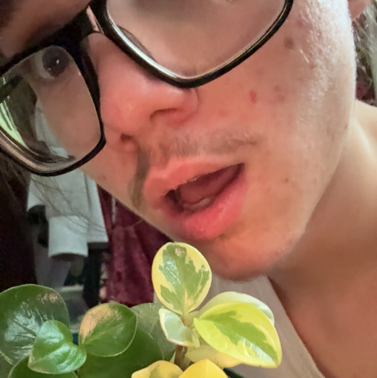 Avatar for @Southardszakk on Greg, the plant care app
