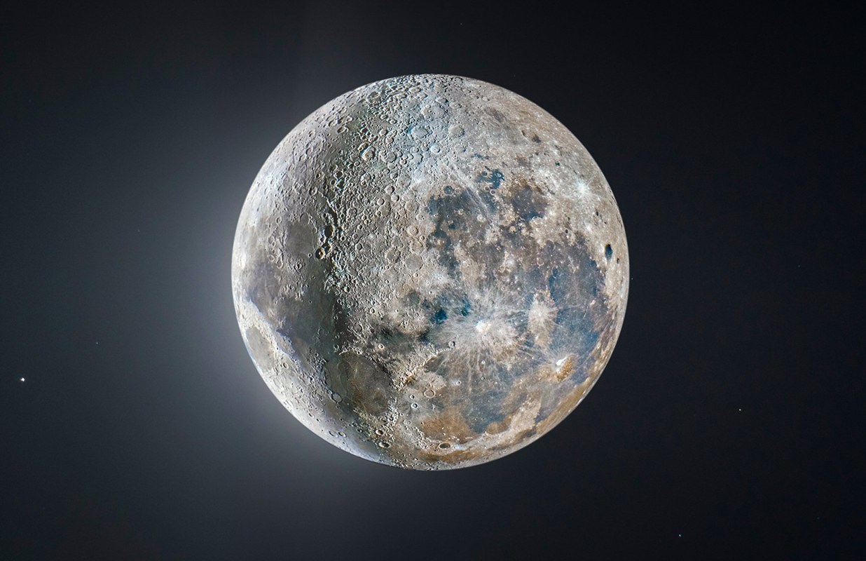 Avatar for @Ntheogen on Greg, the plant care app