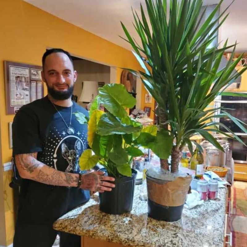 @Greekthumbplants avatar