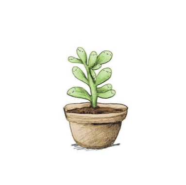 @Plantsy