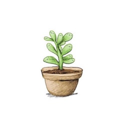 Plantsy avatar