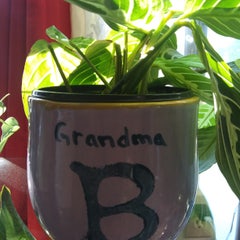 Grandmabee