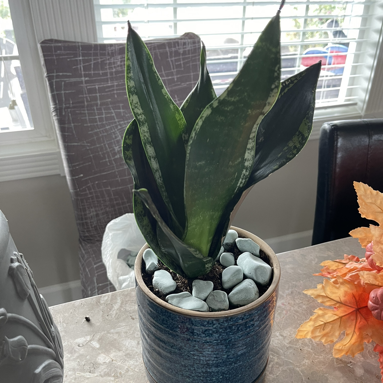 @WhitneyWanders avatar