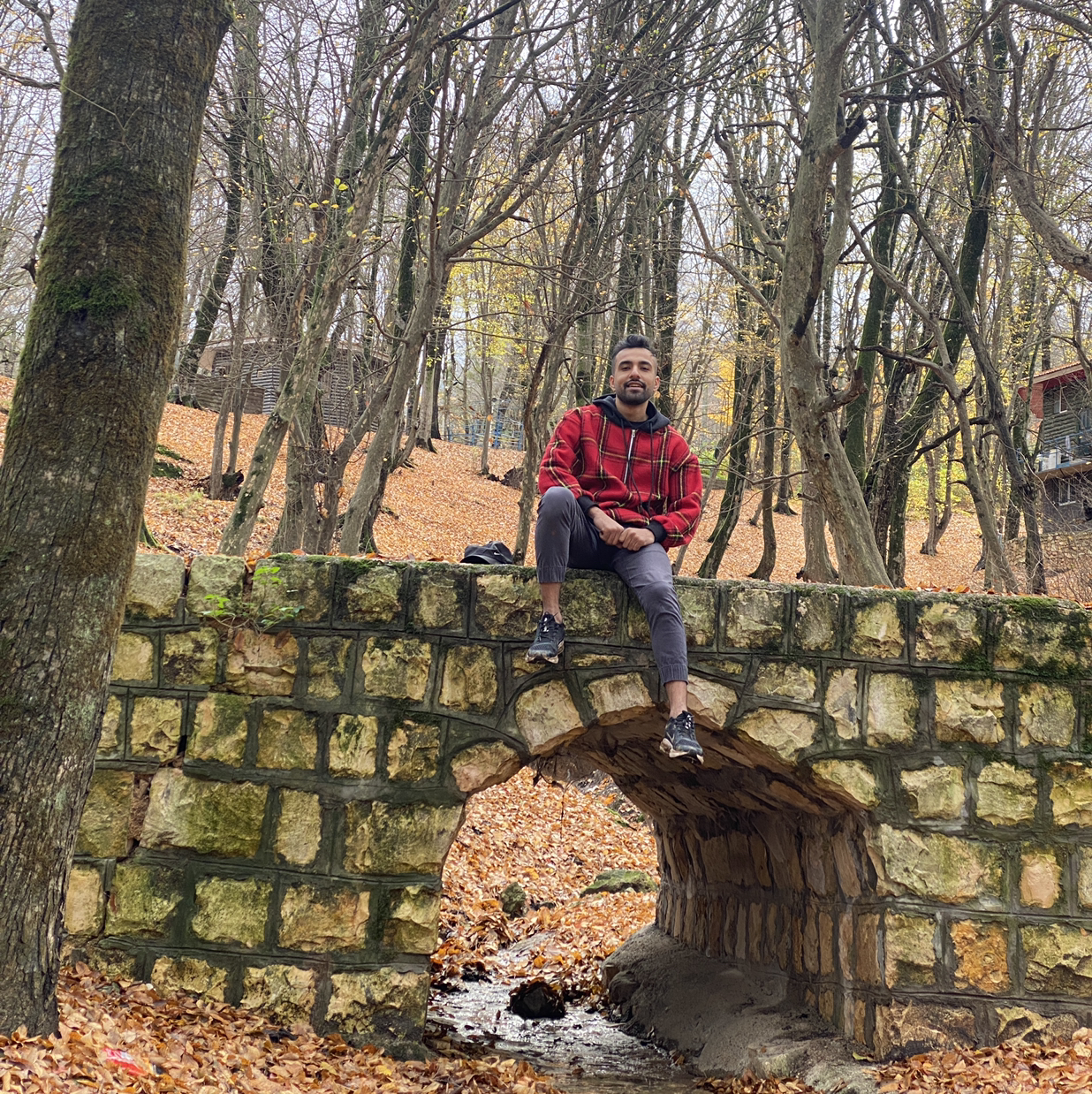 Amed avatar