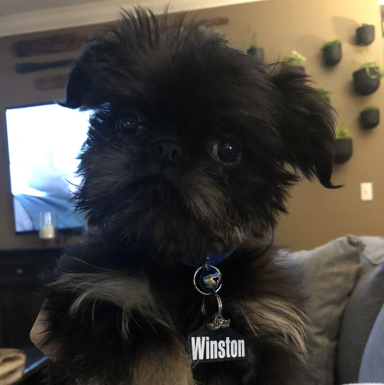 Avatar for @autumndawn70 on Greg, the plant care app