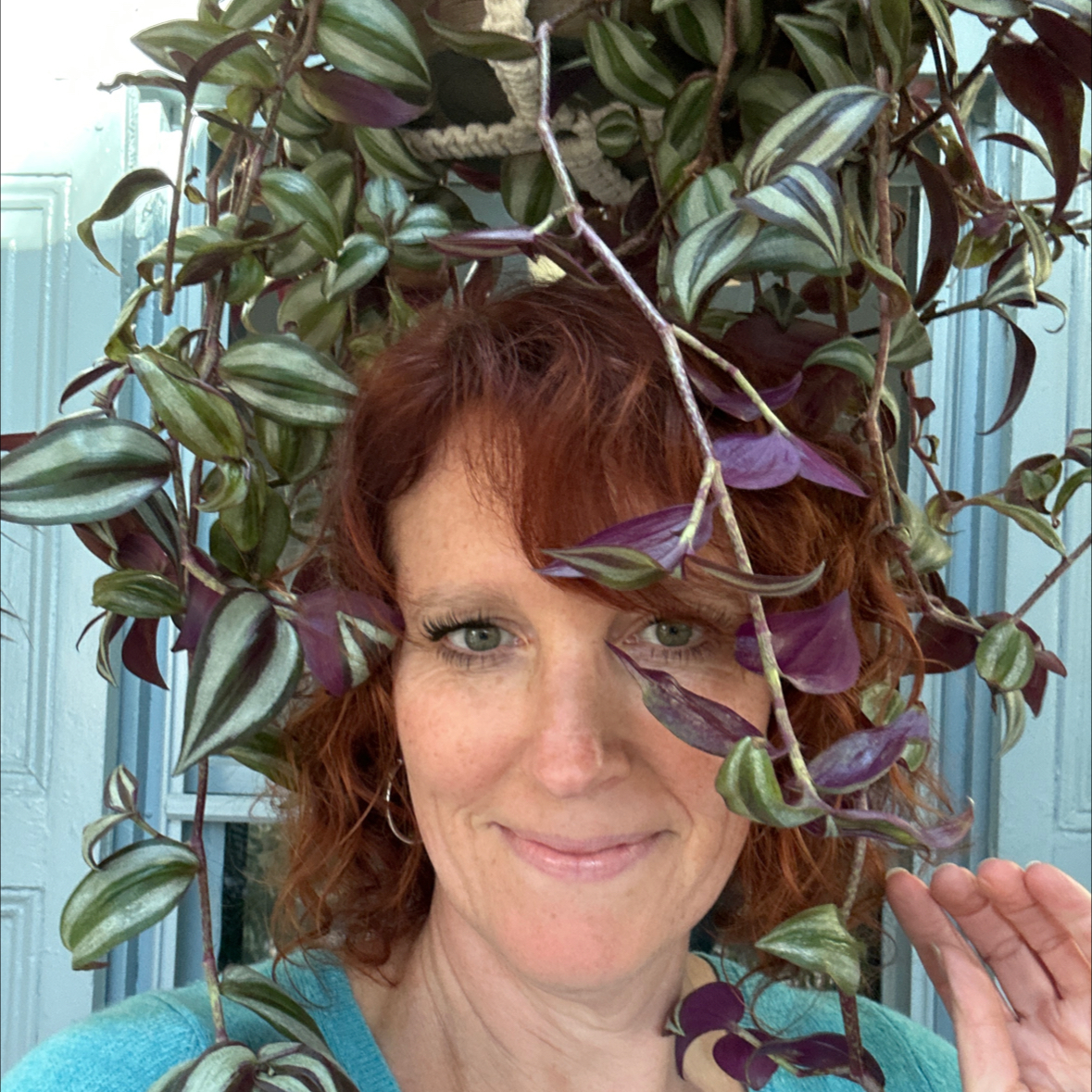 Avatar for Amanda on Greg, the plant care app